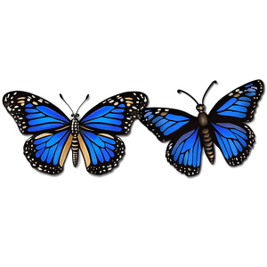 Blue Monarch Butterfly Design PNG 05212024 PNG image with transparent background