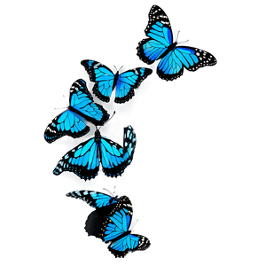 Blue Monarch Butterfly Design PNG 05212024 PNG image with transparent background