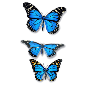 Blue Monarch Butterfly Design PNG bhu95 PNG image with transparent background