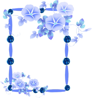 Morning Glory, HD Png Download PNG image with transparent background