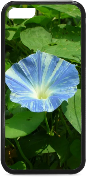 Blue Morning Glory Phone Case Design PNG Image