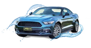 Blue Mustang Carwash Advertisement PNG Image