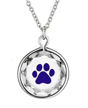 Blue Paw Pendant Necklace PNG Image