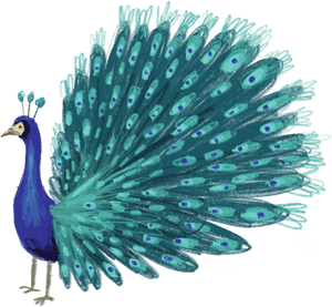 Blue Peacock, HD Png Download PNG image with transparent background