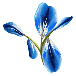 Blue Petal Flower PNG 3 PNG image with transparent background