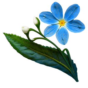 Blue Petal Flower PNG gig PNG image with transparent background