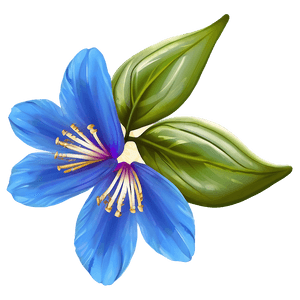 Blue Petal Flower PNG khr PNG image with transparent background