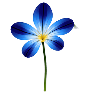 Blue Petal Flower PNG tty PNG image with transparent background