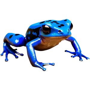 Blue Poison Dart Frog Png Alg95 PNG Image