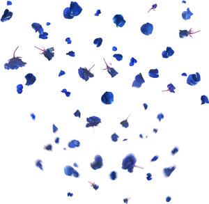 Blue Rose Petals Falling Transparent Background PNG Image