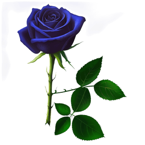 Blue Rose PNG 06202024 PNG image with transparent background