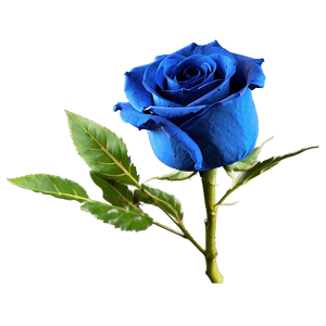 Blue Rose PNG bks39 PNG image with transparent background