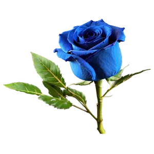 Blue Rose Png Bks39 PNG Image