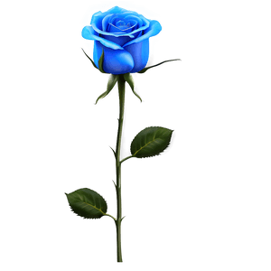 Blue Rose PNG lam PNG image with transparent background