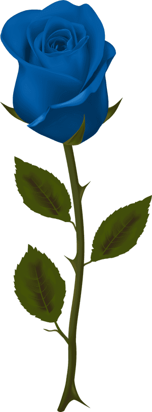 Dark Red Roses Png, Transparent Png PNG image with transparent background