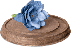 Forever In Bloom - Blue Rose, HD Png Download PNG image with transparent background