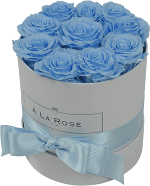 Orb Original Baby Blue Roses'Class='lazyload Lazyload - Baby Blue Roses, HD Png Download PNG with transparent background