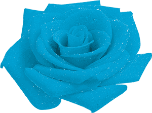 Blue Rose Garden Roses Petal - Blue Rose, HD Png Download PNG image with transparent background