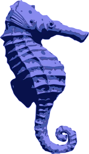 Blue Seahorse Illustration PNG Image