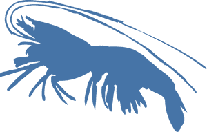 Blue Shrimp Png, Transparent Png PNG with transparent background