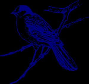 Blue Silhouette Birdon Branch PNG image with transparent background