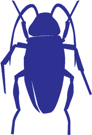 Blue Silhouette Cockroach PNG