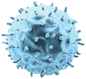 Cancer Cell Transparent, HD Png Download PNG with transparent background