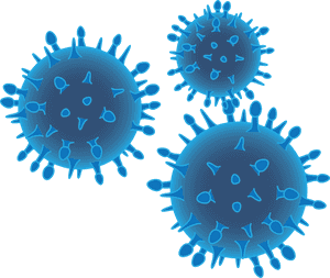 Bacteria Png - Transparent Bacteria Png, Png Download PNG image with transparent background
