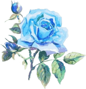 #blue #rose #flower #rainbow #gothic #dark #aesthetic - Dibujos De Acuarelas Azul, HD Png Download PNG with transparent background
