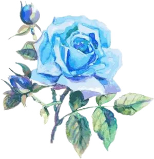 Blue Watercolor Rose Artwork PNG Image