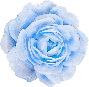 #flower #flowers #nature #blue #rose - Transparent Png Aesthetic Rose, Png Download PNG