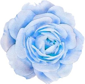 Blue Watercolor Rose PNG Image