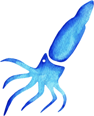 Watercolor Squid Clipart , Png Download - Watercolor Squid Transparent, Png Download PNG