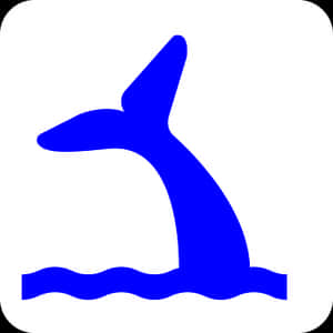Blue Whale Icon Simple PNG with transparent background
