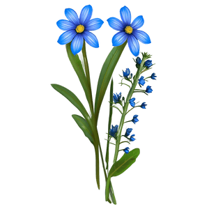 Blue Wildflower PNG brp PNG image with transparent background