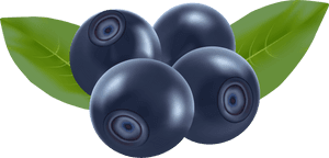 Blueberries Png Clip Art - Transparent Background Blueberry Clipart, Png Download PNG image with transparent background