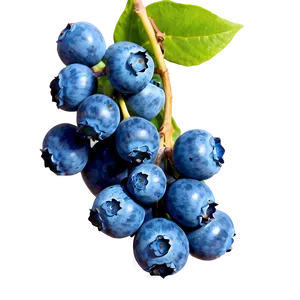 Blueberry Cluster Png 05242024 PNG Image