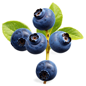 Blueberry Cluster PNG deg23 PNG image with transparent background