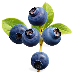 Blueberry Cluster Png Deg23 PNG Image