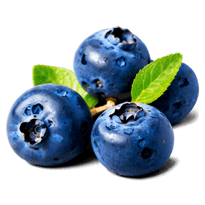 Blueberry Cluster PNG kpj PNG image with transparent background