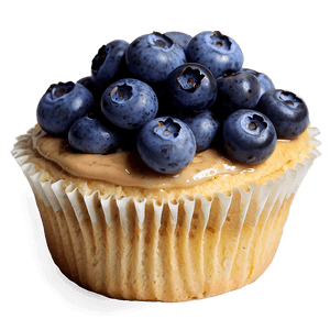 Blueberry Cupcake PNG 20 PNG image with transparent background