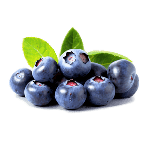 Blueberry Field PNG 15 PNG image with transparent background