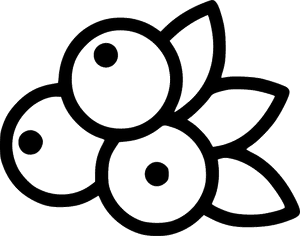 Blueberry - Blueberry Icon Black And White, HD Png Download PNG image with transparent background