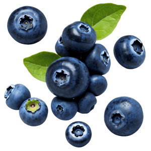 Blueberry Isolated PNG 2 PNG image with transparent background