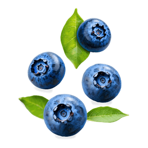 Blueberry Isolated PNG iey PNG image with transparent background