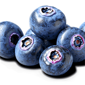 Blueberry Isolated PNG qsg2 PNG image with transparent background