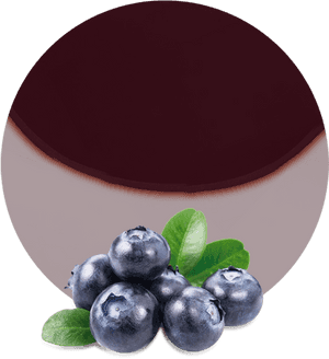 Transparent Background Blueberry Transparent, HD Png Download PNG image with transparent background