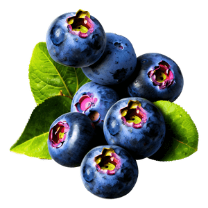 Blueberry Pile PNG 05242024 PNG image with transparent background