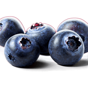 Blueberry Pile PNG eha56 PNG image with transparent background