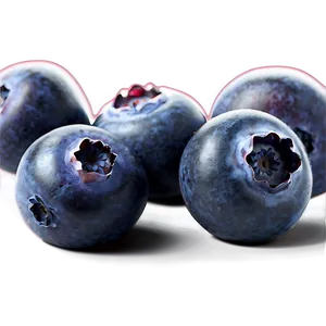 Blueberry Pile Png Eha56 PNG Image